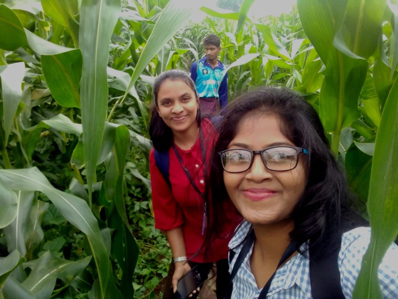 Field researchers in agricultural area